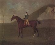 John Nost Sartorius 'Creeper' a Bay colt with Jockey up at the Starting post at the Running Gap in the Devils Ditch,Newmarket oil